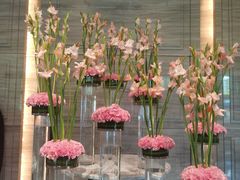 -北京王府井希尔顿酒店·万斯阁西餐厅