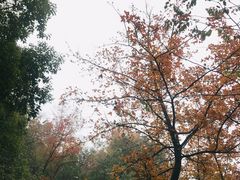 -昭山风景名胜区