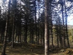 -硗碛藏寨·神木垒景区