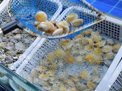 -常家活海鲜小吃(仅一家无分店)