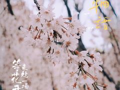 -西安青龙寺遗址景区