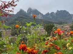 -轿顶山景区