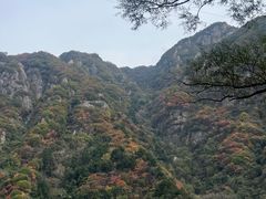 -秦岭终南山世界地质公园翠华山景区