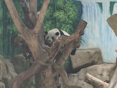-灵玲国际马戏城