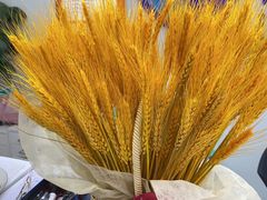 -新航道雅思托福·留学·考研培训(人民广场校区)
