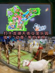 -七巧国萌宠乐园(龙湖天街店)