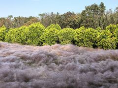 -华山御温泉度假村