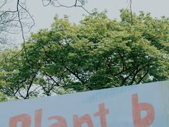 -杭州植物园