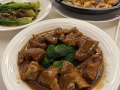 -汕尾巴黎半岛酒店