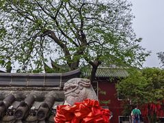-长春观