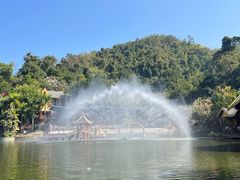 -西双版纳原始森林公园