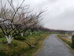 -上海海湾国家森林公园