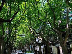 -思南书局·诗歌店