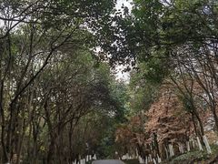 -天生桥景区