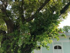 景点-龙环葡韵住宅式博物馆