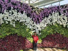 -石家庄市植物园