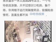 盛京一禾-盛京一禾