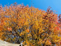 -南京市江宁方山