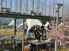 -前小桔亲子创意农场·草莓采摘·露营烧烤