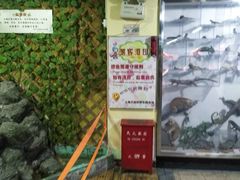 -上海大自然野生昆虫馆(东方明珠·爬宠昆虫探索中心)