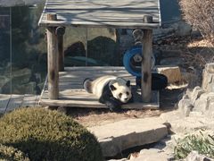 -大连森林动物园