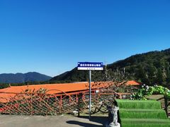 -东莞观音山旅游风景区
