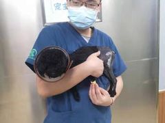 -瑞派雷欧宠物医院·24h夜诊·心脏骨科牙科·全科重症转诊中心(无影山店)