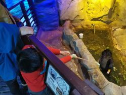 -酷嗒动物文化乐园(cutezoo西溪乐天城店)