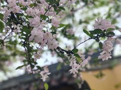-龙华寺