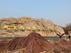 -北京西山国家森林公园