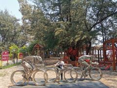 -北海金海湾红树林生态旅游区