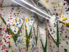 -绿壁虎攀岩基地(Tcar店)