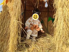 -九善农植有机生活农场
