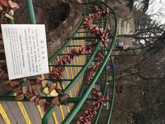 iphone_upload_pic-信号山公园