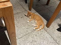 -谷咖啡·鲜花绿植花园餐厅
