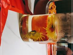 -九鼎轩脆毛肚火锅(三钢里店)