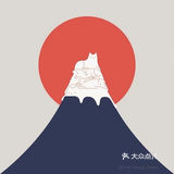 一起来找猫猫🐈