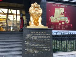 -中国黄金(北京旗舰店)