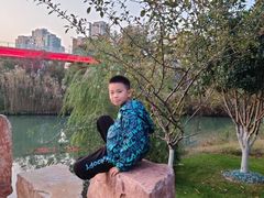 -青枫公园