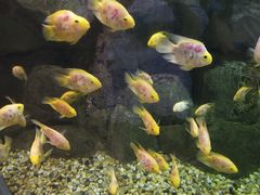 -苏州海洋馆