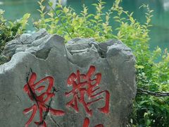 -靖西鹅泉风景区
