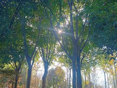 -狼山风景名胜区