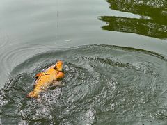 -酷鱼垂钓CLUB(朝阳区博大路店 )