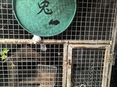 -元鼎宝驴香·全驴宴(江宁店)