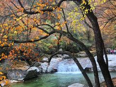 -光雾山旅游景区