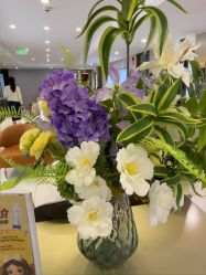 -云南吴氏嘉美医疗美容医院