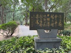 -宋井风景区