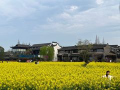 -乌镇景区