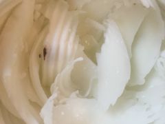 -志龙皇冠吃货椰子铺