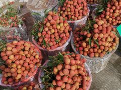 -福田农产品批发市场有限公司蔬菜交易区